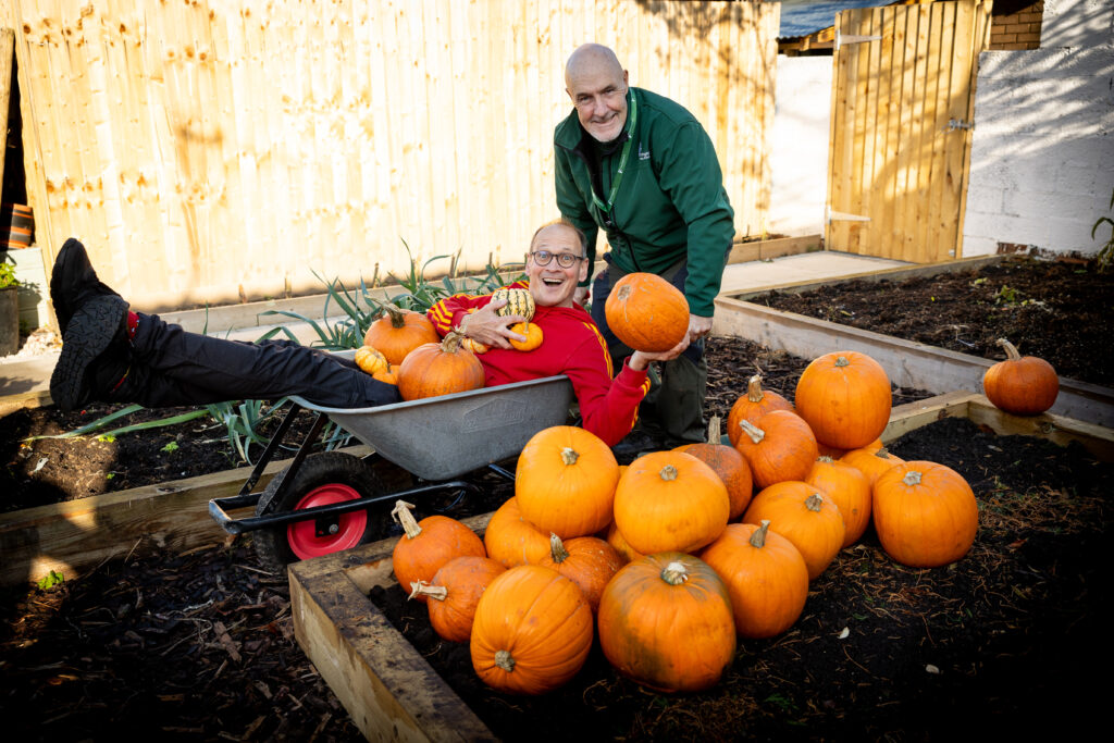 Cinderella Pumpkins