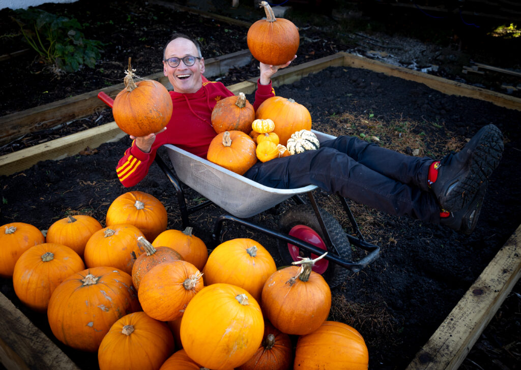 Cinderella Pumpkins